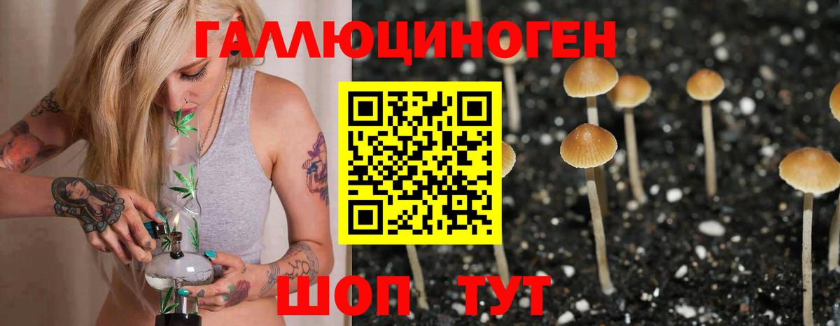 Псилоцибиновые грибы прущие грибы Урюпинск